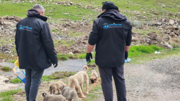 Belediyemizden can dostlarımıza şefkat eli