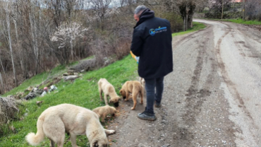 Belediyemizden can dostlarımıza şefkat eli