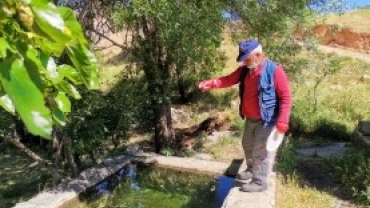 BELEDİYEMİZ TARAFINDAN LAVRA İLAÇLAMA ÇALIŞMASI BAŞLADI