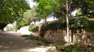 Tekya Park sezona hazırlanıyor