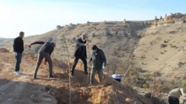 1000 ADET DUT AĞACI TOPRAKLA BULUŞUYOR