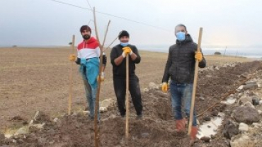 1000 ADET DUT AĞACI AKÇAPINAR TOPRAKLARINDA KÖK SALDI