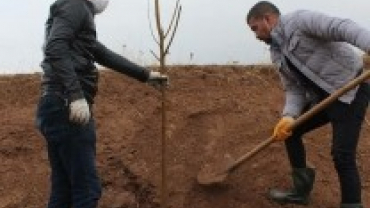 1000 ADET DUT AĞACI AKÇAPINAR TOPRAKLARINDA KÖK SALDI