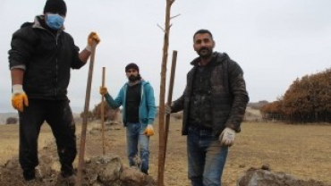 BAŞKAN YILDIZ 3 BİN DUT AĞACINI TOPRAKLA BULUŞTURDU