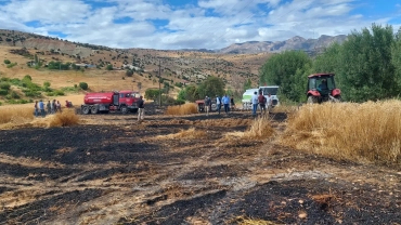 ÇAYBAĞI MEZRASINDA ÇIKAN YANGIN BELEDİYE İTFAİYE EKİPLERİ TARAFINDAN SÖNDÜRÜLDÜ