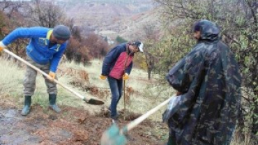 ÇEMİŞGEZEK BELEDİYESİ 2000 ADET DUT AĞACI DİKTİ