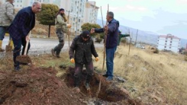 ÇEMİŞGEZEK BELEDİYESİNE 1200 ADET DUT AĞACI HEDİYE EDİLDİ