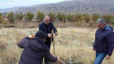 BAŞKAN YILDIZ AĞAÇ DİKTİ