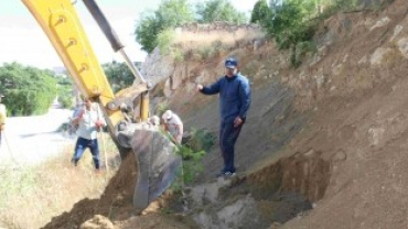 5 BİN AĞACIN KÖKLERİ AÇILARAK BAKIMLARI YAPILDI