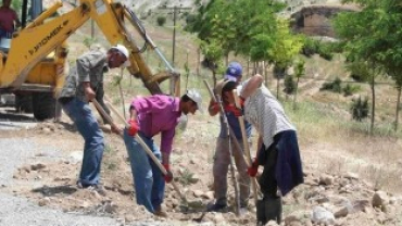 5 BİN AĞACIN KÖKLERİ AÇILARAK BAKIMLARI YAPILDI