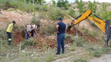 5 BİN AĞACIN KÖKLERİ AÇILARAK BAKIMLARI YAPILDI