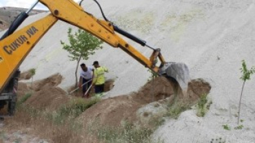 5 BİN AĞACIN KÖKLERİ AÇILARAK BAKIMLARI YAPILDI