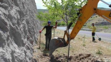 5 BİN AĞACIN KÖKLERİ AÇILARAK BAKIMLARI YAPILDI