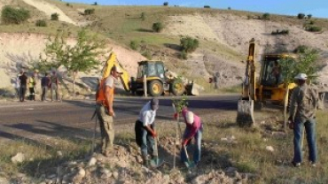 5 BİN AĞACIN KÖKLERİ AÇILARAK BAKIMLARI YAPILDI