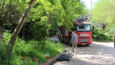 Tekya Park'ın Sezon Hazırlığı