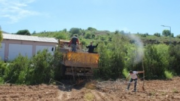 Çemişgezek Belediyesi Ağaçlandırma Çalışmalarına Önem Veriyor