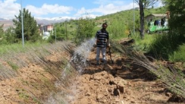 Çemişgezek Belediyesi Ağaçlandırma Çalışmalarına Önem Veriyor