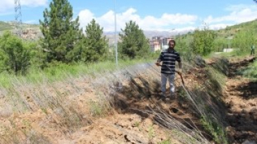 Çemişgezek Belediyesi Ağaçlandırma Çalışmalarına Önem Veriyor