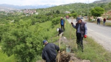 Çemişgezek Yeşillenecek