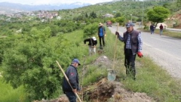 Yabani ot,parke ve temizlik çalışmaları