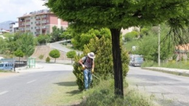 Çemişgezek Yeşillenecek