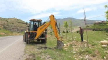 Yabani ot,parke ve temizlik çalışmaları