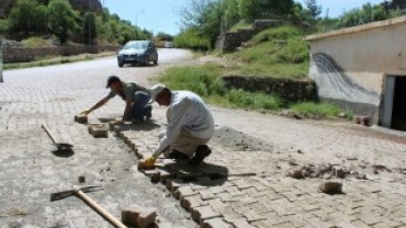 Yabani ot,parke ve temizlik çalışmaları