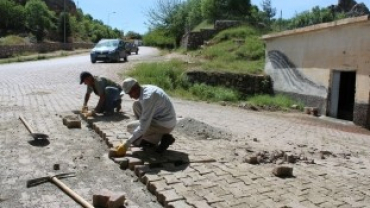 Yabani ot,parke ve temizlik çalışmaları