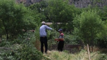 Tosbağa Tepesindeki mezarlık temizleniyor