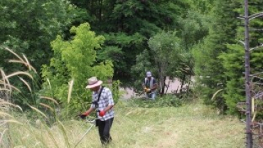 Tosbağa Tepesindeki mezarlık temizleniyor