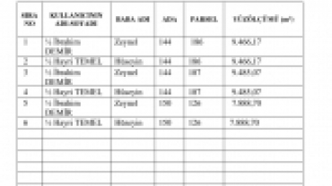 Doğrudan satış başvuru dilekçesi