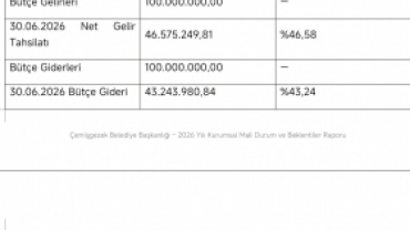 ÇEMİŞGEZEK BELEDİYE BAŞKANLIĞI 2026 YILI KURUMSAL MALİ DURUM VE BEKLENTİLER RAPORU