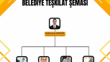 Belediye Teşkilat Şeması